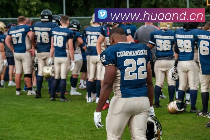 yy易游体育官网登录平台生态图